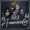 Amanecidos, Vol 1. (Live) album lyrics, reviews, download