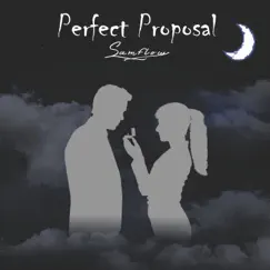 Perfect Proposal Song Lyrics