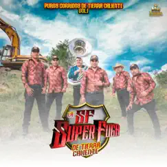 Puros Corridos De Tierra Caliente Vol. 1 by La Super Fuga De Tierra Caliente album reviews, ratings, credits
