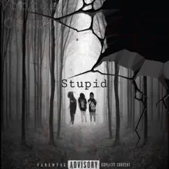 Stupid - Single by Vontae Osama album reviews, ratings, credits