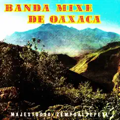 Majestuoso Zempoaltepetl by Banda Mixe de Oaxaca album reviews, ratings, credits