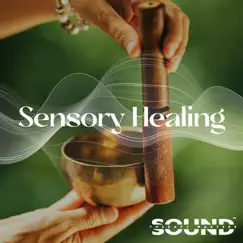Sensory Healing: Deeply Immersive Experience, Zen Sound Therapy, Healing Frequency, Singing Bowls by Sound Therapy Masters album reviews, ratings, credits