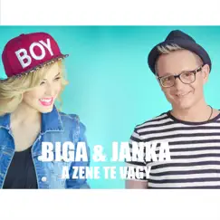 A zene te vagy - Single by Heincz Gabor Biga & Janka album reviews, ratings, credits