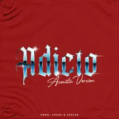 ADICTO (Acoustic Version) Song Lyrics