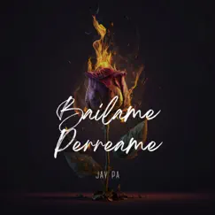 Bailame Perreame - Single by Jay PA album reviews, ratings, credits