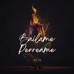 Bailame Perreame Song Lyrics