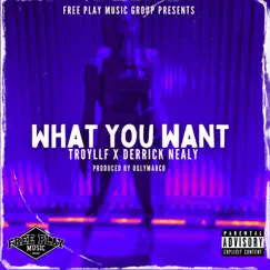 What You Want (feat. UglyMarco) - Single by Troyllf & Derrick Nealy album reviews, ratings, credits