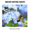 Macro Nature Waves - Limitless Nature album lyrics, reviews, download