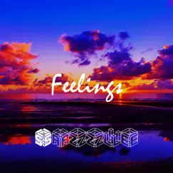 Feelings - Single by Sazzle album reviews, ratings, credits