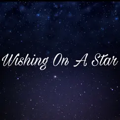 Wishing on a Star - Single by Rubensostupid album reviews, ratings, credits