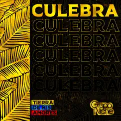Culebra - Single by Grupo Niche album reviews, ratings, credits