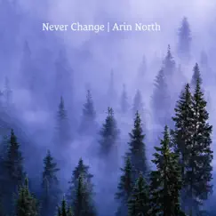 Never Change - Single by Arin North album reviews, ratings, credits