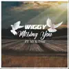 Missing You (feat. M1 Mayor) - Single album lyrics, reviews, download