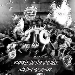 Rumble In the Jungle Mash-Up - Single by Garïon album reviews, ratings, credits