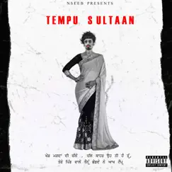 Tempu Sultaan - Single by NseeB album reviews, ratings, credits