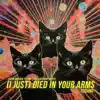 (I Just) Died In Your Arms [Techno Remix] - Single album lyrics, reviews, download