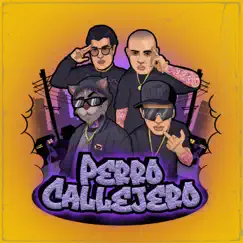 Perro Callejero (feat. Fredy Fresh & Juanfe Marin) - Single by Cifra BV, ElReghosg & GOLDEN G album reviews, ratings, credits