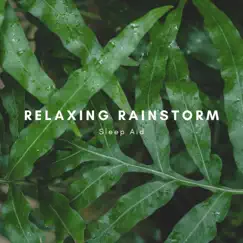 Relaxing Rainstorm Sleep Aid - Single by Natural Sounds Selections, Nature Sound Collection & Zen Sounds album reviews, ratings, credits