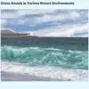 Ocean Wave Pleasure song lyrics