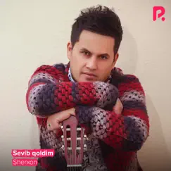 Sevib Qoldim Song Lyrics