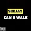 Can U Walk - Single album lyrics, reviews, download