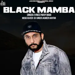 Black Mamba - Single by Pavvy Brar & Jasmeen Akhtar album reviews, ratings, credits