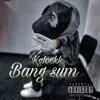 Bang Sum - Single album lyrics, reviews, download