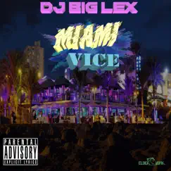 Miami VICE (Radio Edit) Song Lyrics