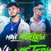 Mina Misteriosa (feat. MC RUAN RZAN) song lyrics