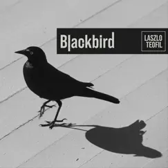 Blackbird Song Lyrics