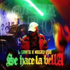 Se Hace La Bella - Single by Negro Dub & L-Gante album reviews, ratings, credits