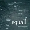 Squall - Piano Medley album lyrics, reviews, download