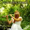 Celtic Flute Dreams album lyrics, reviews, download