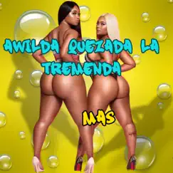 MAS (Radio Edit) - Single by Awilda Quezada la Tremenda album reviews, ratings, credits