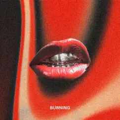 Burning - Single by Svlstice. album reviews, ratings, credits