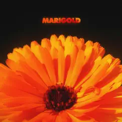 Marigold by Alex Isley & Jack Dine album reviews, ratings, credits