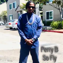 So Fly - Single by Perry B album reviews, ratings, credits
