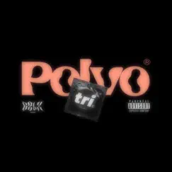 POLVO - Single by Crizoulex album reviews, ratings, credits