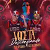 Você Tá Desconfiando (feat. É O CAVERINHA) - Single album lyrics, reviews, download