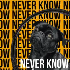 Never Know - Single by James Wilkins album reviews, ratings, credits