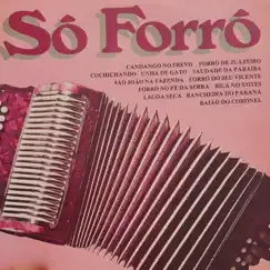 Forró no Pé de Serra Song Lyrics