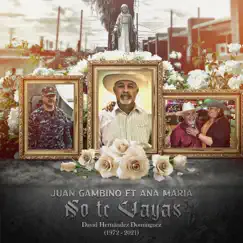 No Te Vayas (feat. Ana Maria) - Single by Juan Gambino album reviews, ratings, credits