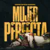 Mujer Perfecta - Single album lyrics, reviews, download