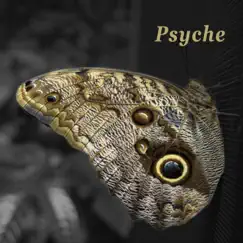 Psyche - Single by Luanoise album reviews, ratings, credits