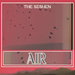 Air - Single by The Seshen album reviews, ratings, credits