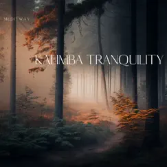 Kalimba Tranquility - Forest Dreams, Serenity, Peace by Meditway album reviews, ratings, credits