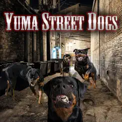 The Answer - Single by Yuma Street Dogs album reviews, ratings, credits