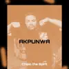 Akpunwa - Single album lyrics, reviews, download