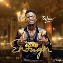 Not Enough - Single by Testimony Jaga album reviews, ratings, credits