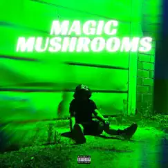 Magic Mushrooms - Single by WAV 777 album reviews, ratings, credits